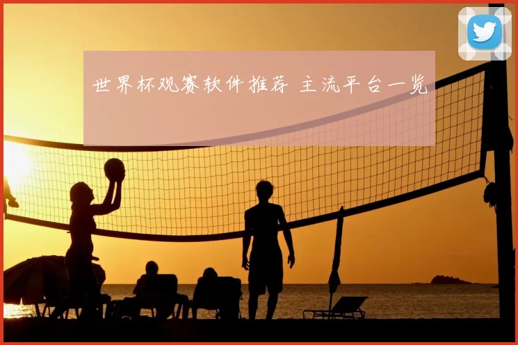 世界杯观赛软件推荐 主流平台一览