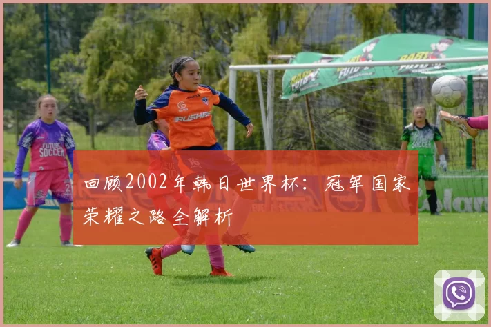 回顾2002年韩日世界杯:冠军国家荣耀之路全解析
