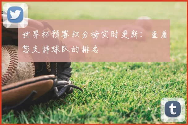 世界杯预赛积分榜实时更新:查看您支持球队的排名