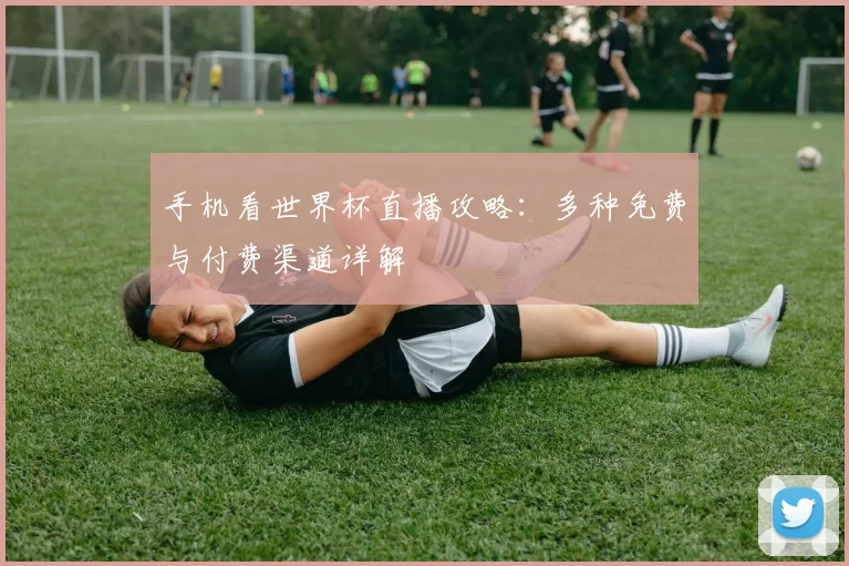 手机看世界杯直播攻略:多种免费与付费渠道详解