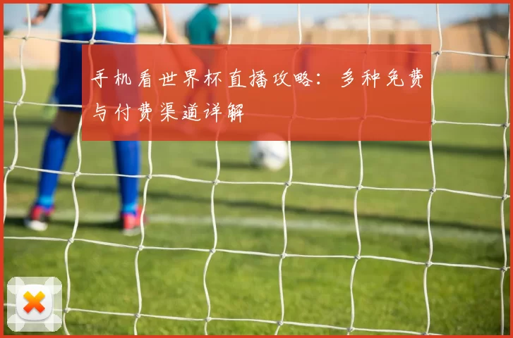 手机看世界杯直播攻略:多种免费与付费渠道详解