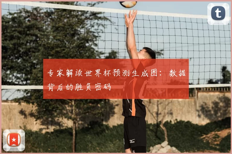 专家解读世界杯预测生成图：数据背后的胜负密码