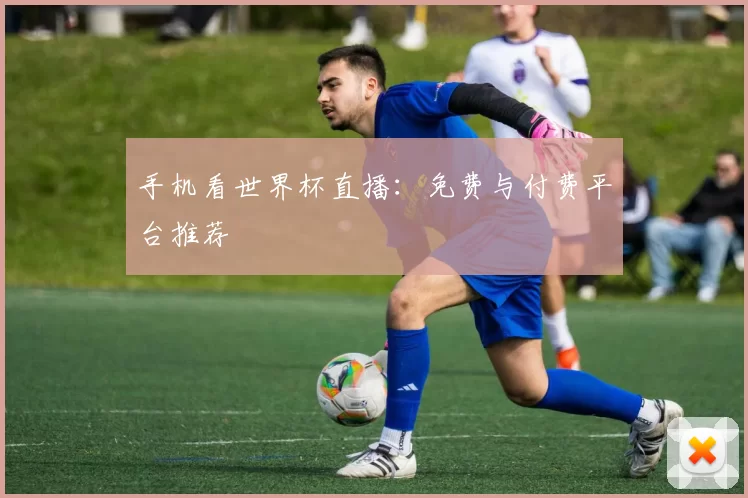 手机看世界杯直播:免费与付费平台推荐