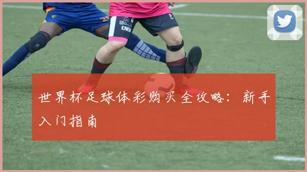 世界杯足球体彩购买全攻略：新手入门指南