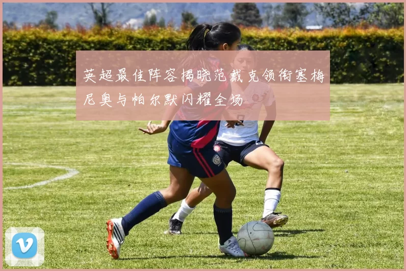 英超最佳阵容揭晓范戴克领衔塞梅尼奥与帕尔默闪耀全场