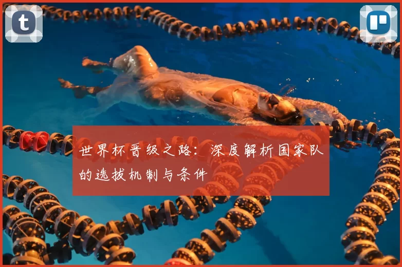 世界杯晋级之路:深度解析国家队的选拔机制与条件