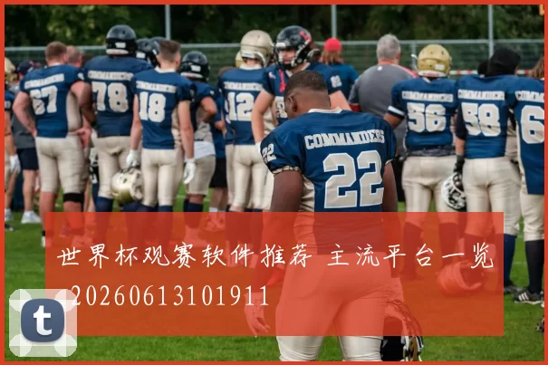世界杯观赛软件推荐 主流平台一览_20260613101911
