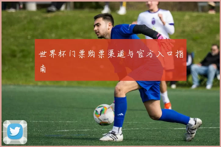 世界杯门票购票渠道与官方入口指南