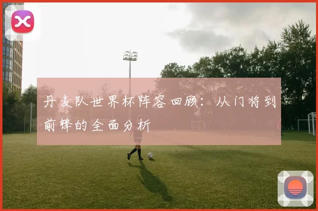 丹麦队世界杯阵容回顾：从门将到前锋的全面分析