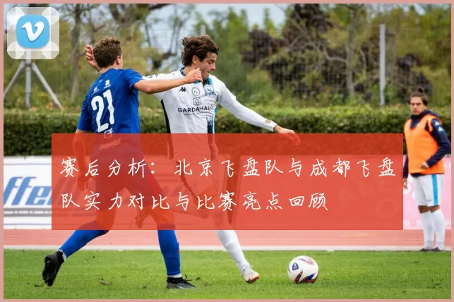 赛后分析:北京飞盘队与成都飞盘队实力对比与比赛亮点回顾