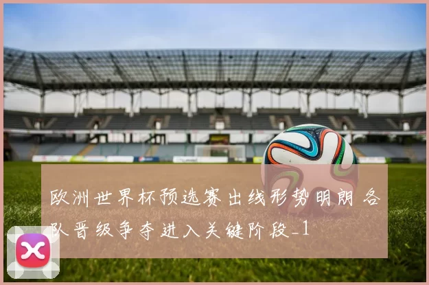 欧洲世界杯预选赛出线形势明朗 各队晋级争夺进入关键阶段_1