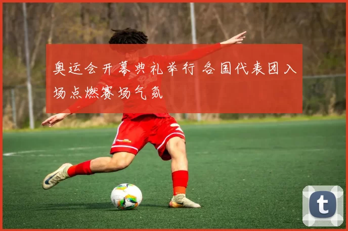 奥运会开幕典礼举行 各国代表团入场点燃赛场气氛