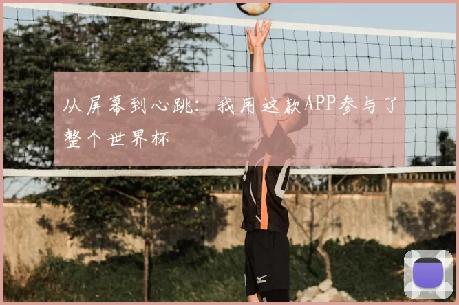 从屏幕到心跳:我用这款APP参与了整个世界杯